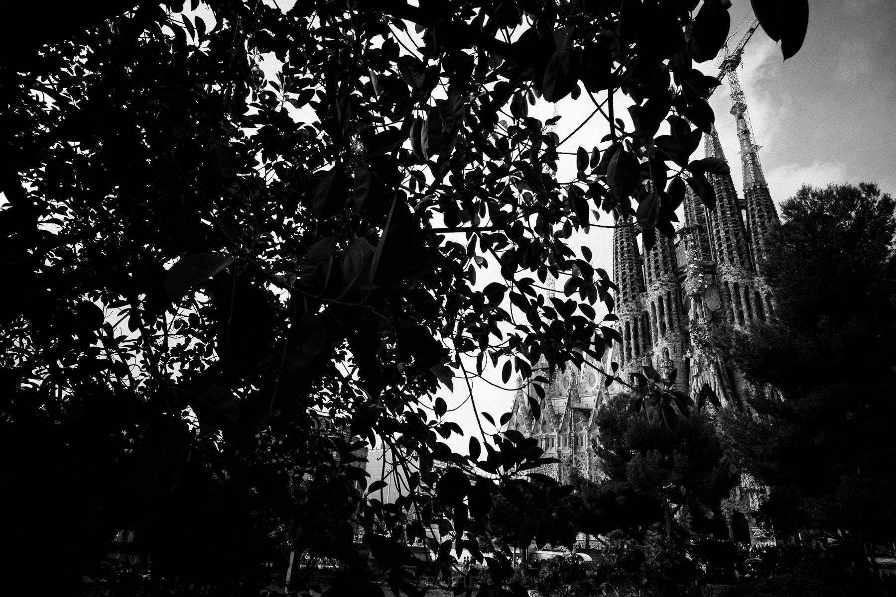 0014 barcelona la sagrada familia church gaudi - Barcelona - Sagrada Familia