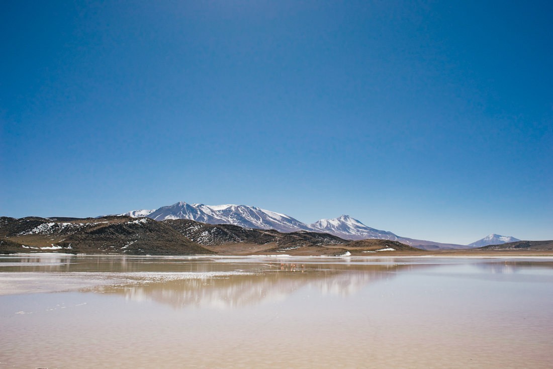 010 bolivia alti plano lago colorada - Bolivien - Von der Laguna Colorada durch das Alti Plano