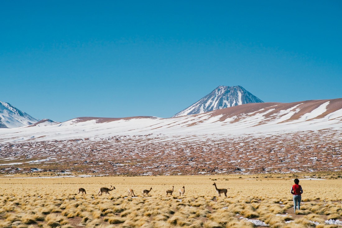 009 san pedro atacama desert chile bolivia - Reiseblog Chile &amp; Bolivien