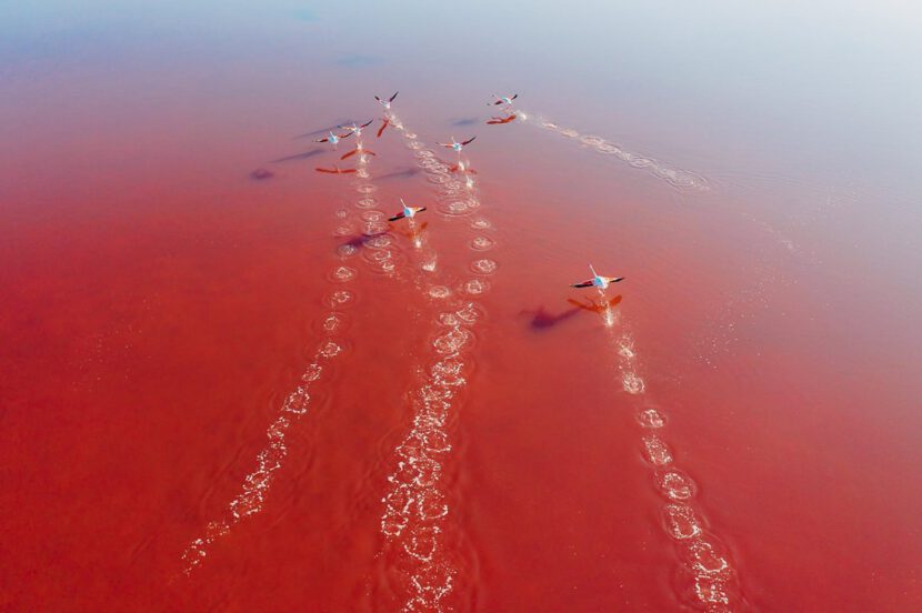 034 saltfields huelva algarve drone areal