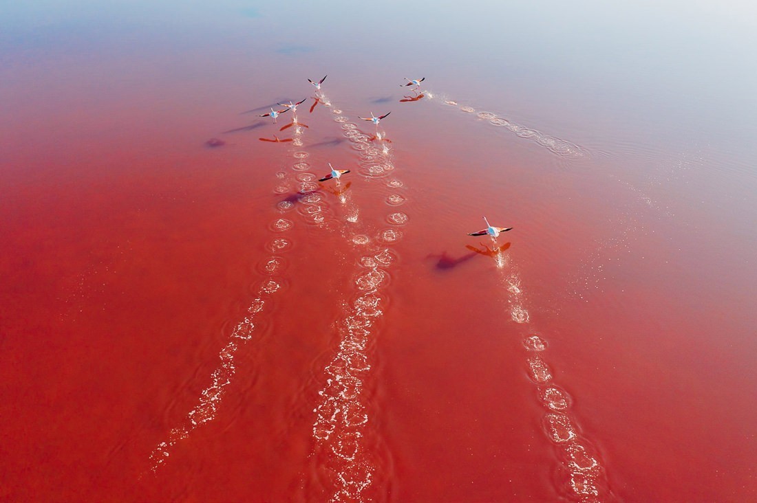034 saltfields huelva algarve drone areal - Farben & Strukturen der Salzfelder