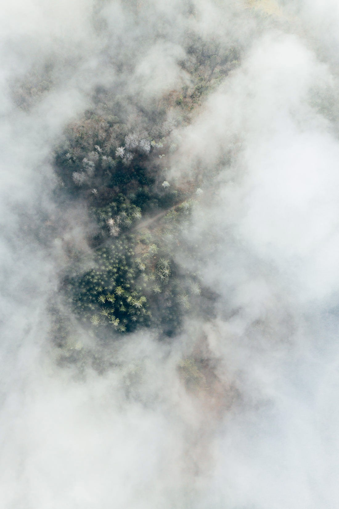 021 winter luftaufnahme hochzeitsfotograf wald - Luftaufnahmen zwischen den Wolken...