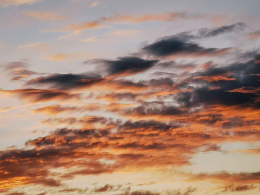 Sonnenaufgang Bodensee - Fotos aus meinem Alltag