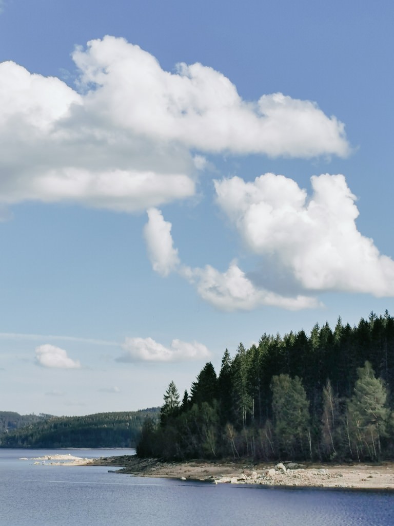 Schluchsee Schwarzwald Wandern - Fotos aus meinem Alltag