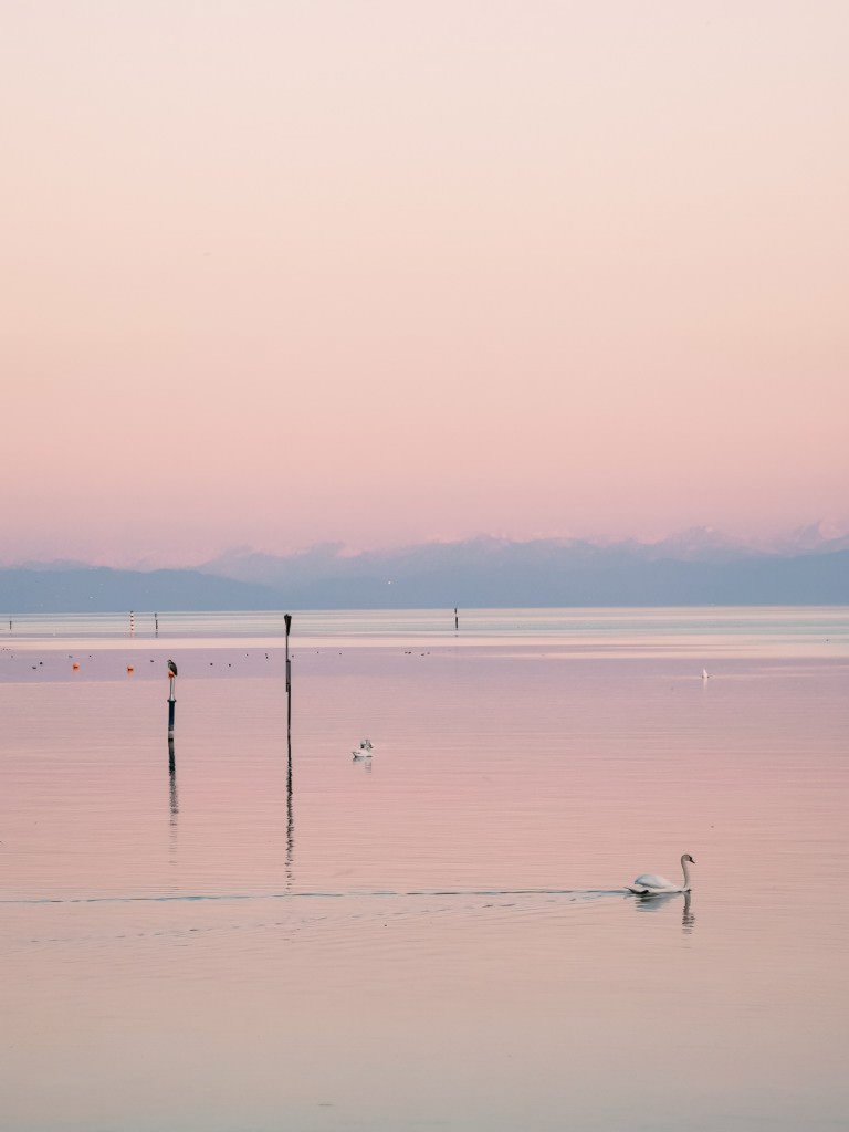 Sonnenuntergang bodensee blauestunde konstanz - Fotos aus meinem Alltag