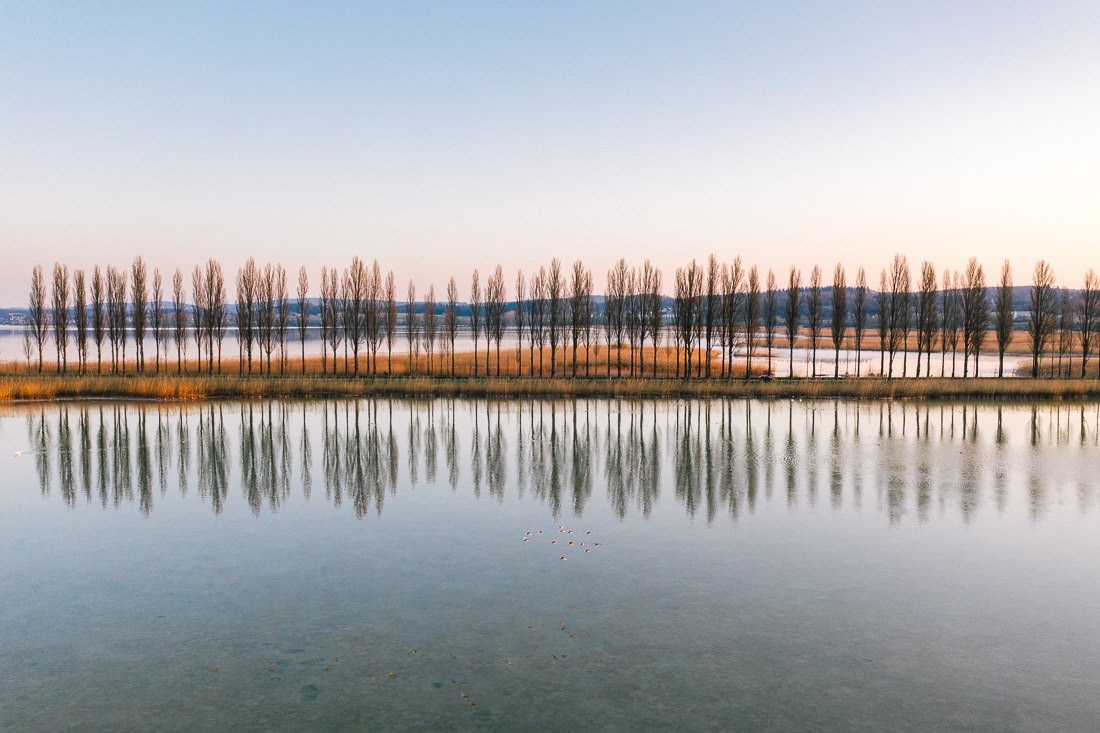 insel reichenau allee 0001 1 - Fotos aus meinem Alltag