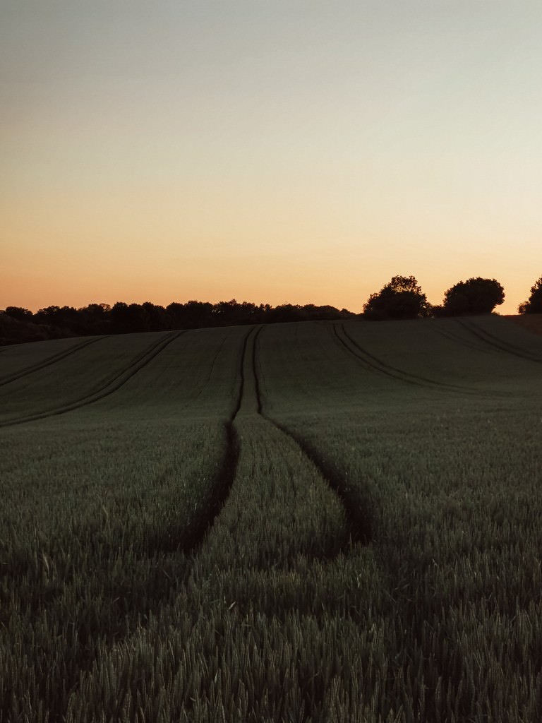 Sonnenuntergang Oberschwaben - Fotos aus meinem Alltag