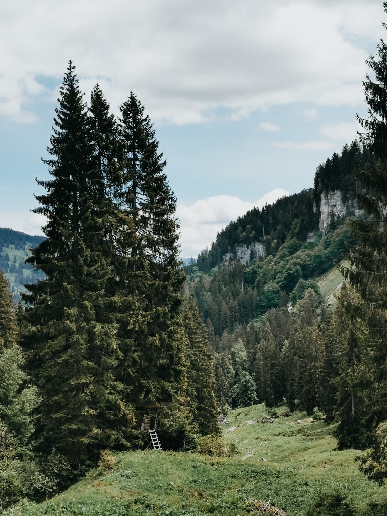 Wandern obersdorf allgaeu - Fotos aus meinem Alltag