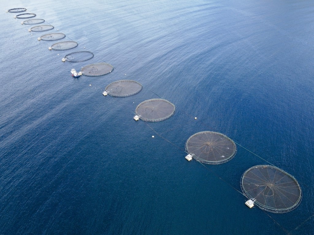 Fischzucht lofoten - Fotos aus meinem Alltag
