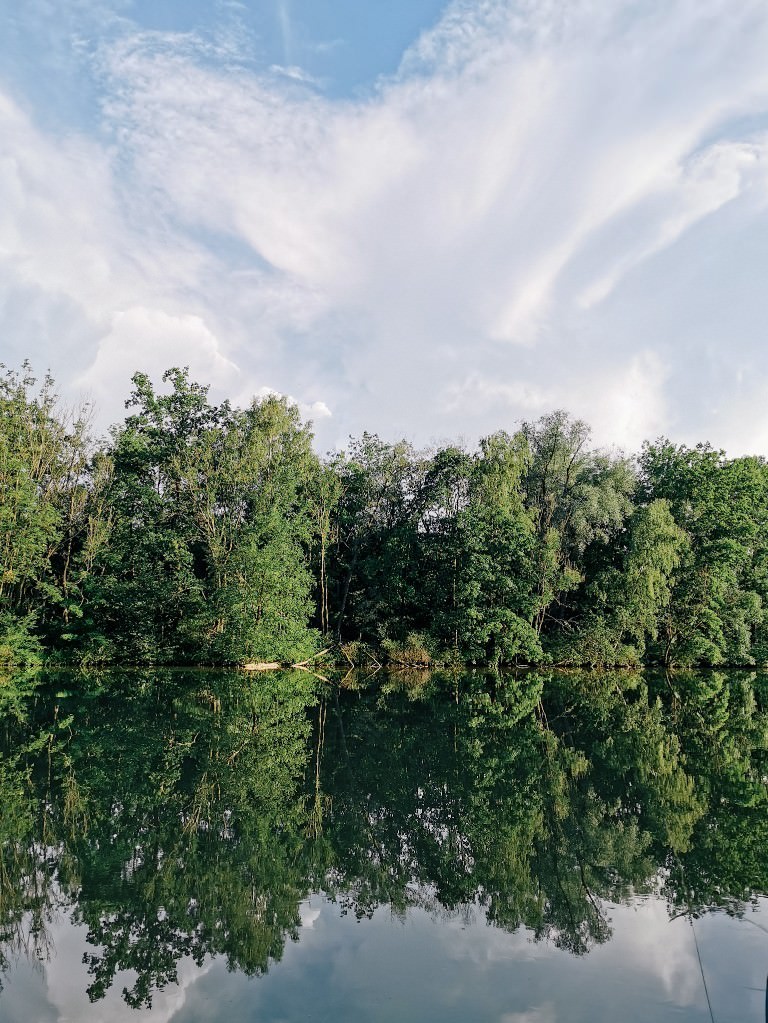 Ulm hochzeitsfotograf donauufer - Fotos aus meinem Alltag