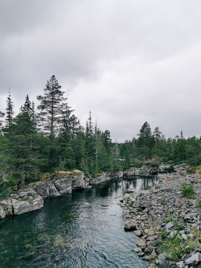 Wandern Wald norwegen - Fotos aus meinem Alltag