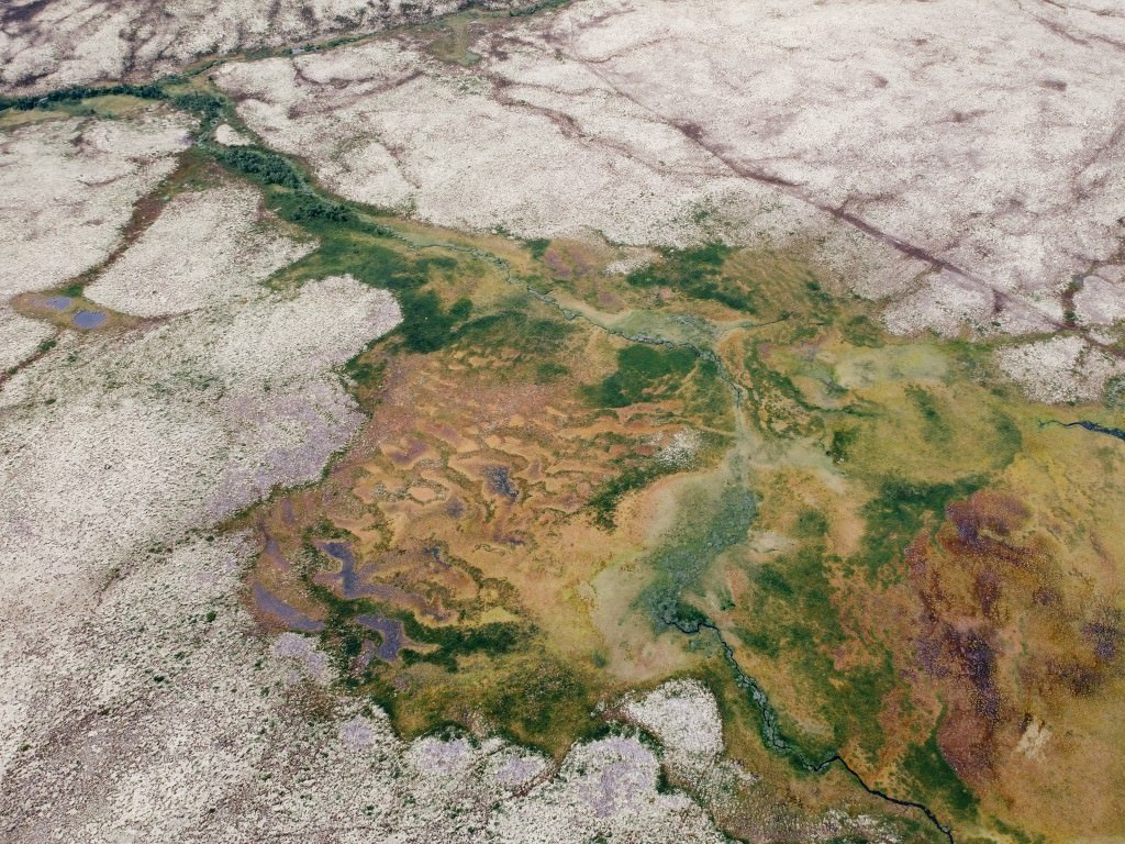 heidelandschaft Norwegen - Fotos aus meinem Alltag