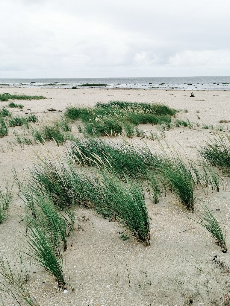 insel fano strand - Fotos aus meinem Alltag