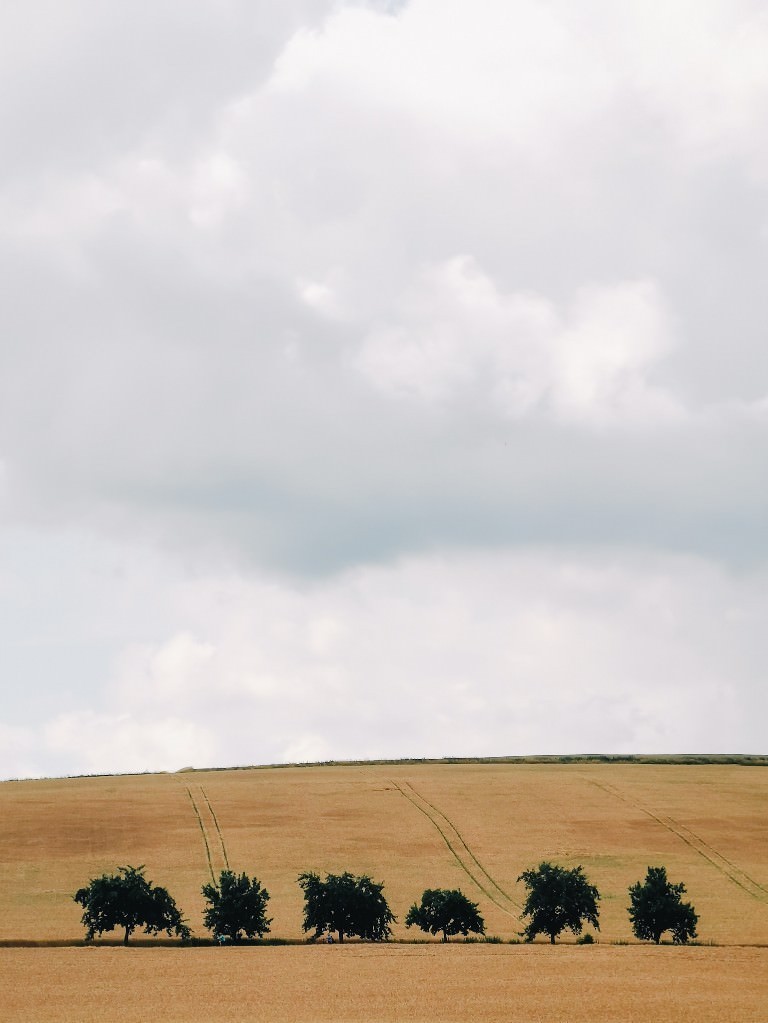 koernerfeld kassel - Fotos aus meinem Alltag