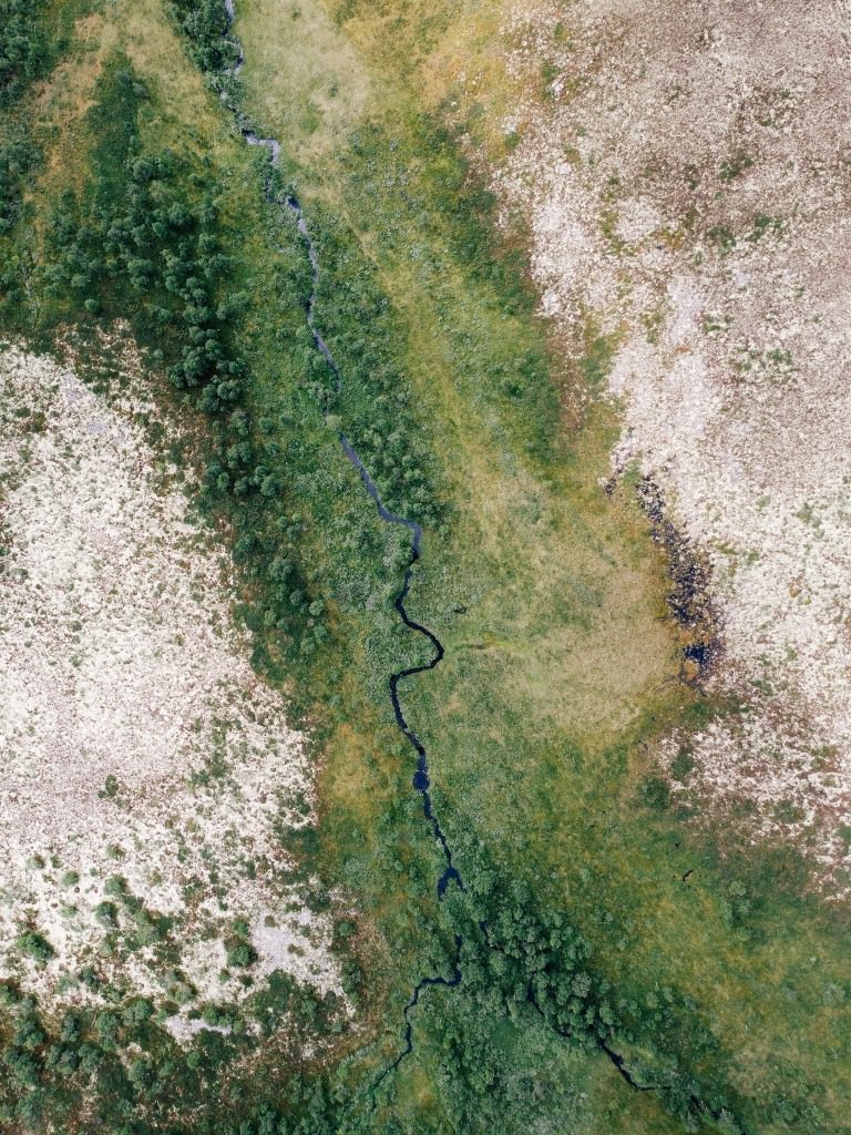 norwegische heide mistra - Fotos aus meinem Alltag