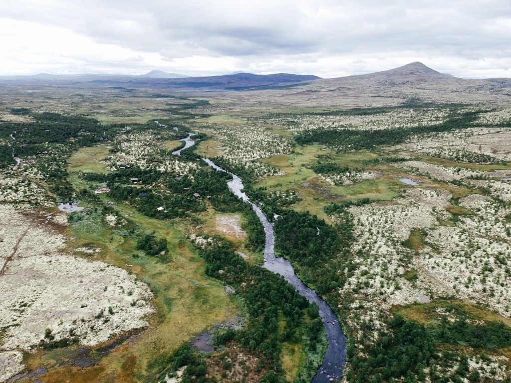 norwegische heide - Fotos aus meinem Alltag