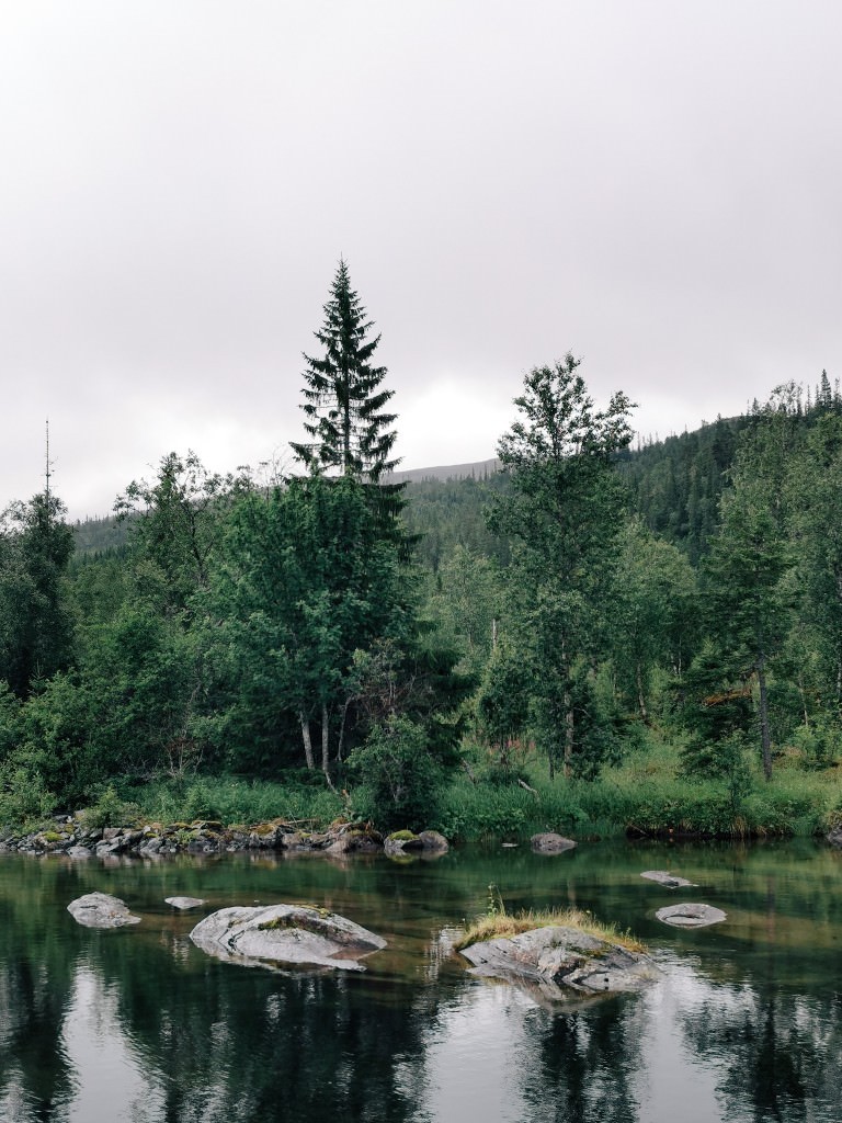 norwegische wildness - Fotos aus meinem Alltag
