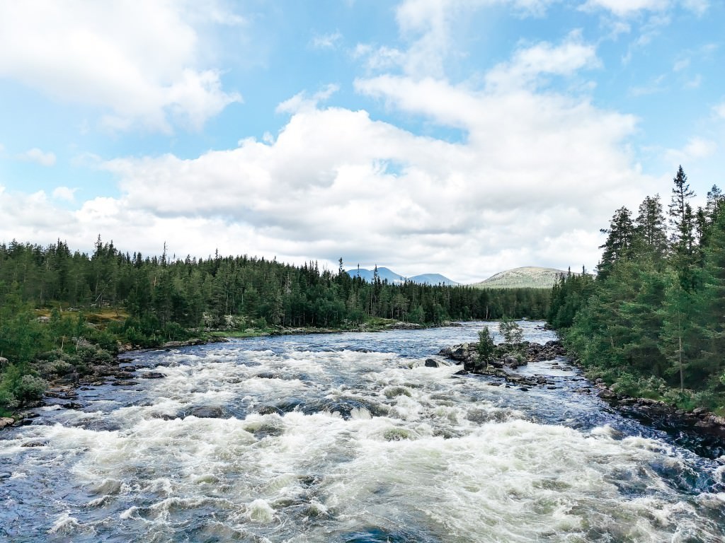 norwegische wildnis - Fotos aus meinem Alltag
