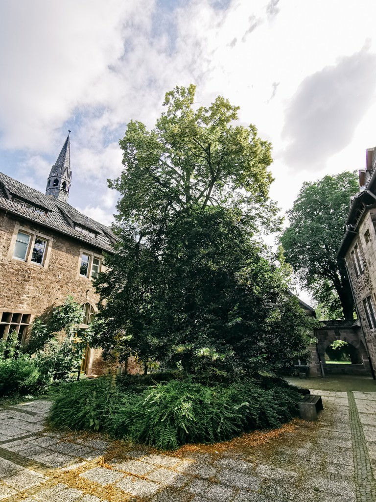 uni kassel witzenhausen - Fotos aus meinem Alltag