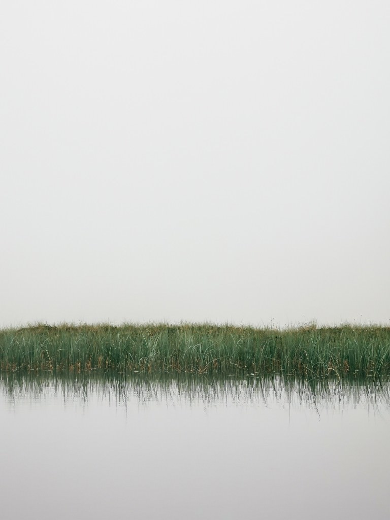 nebelsee lofoten - Fotos aus meinem Alltag