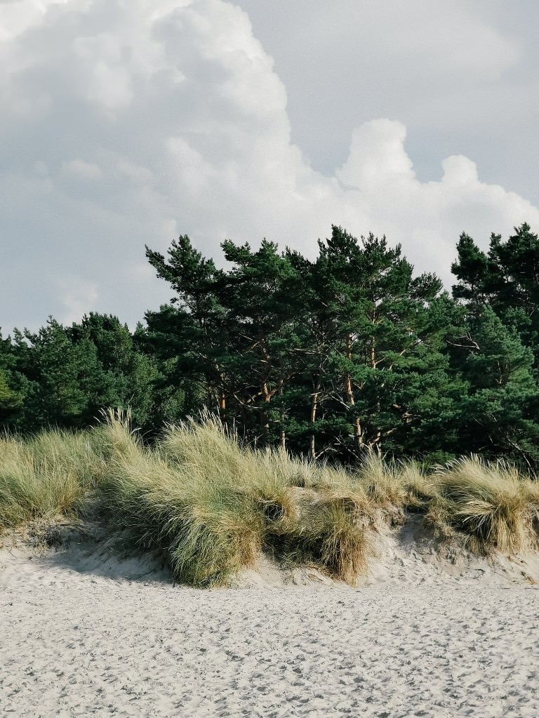 ostsee duenen - Fotos aus meinem Alltag