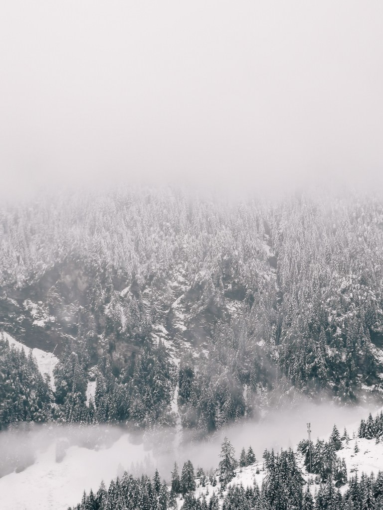 alpen wintereinbruch wald - Fotos aus meinem Alltag