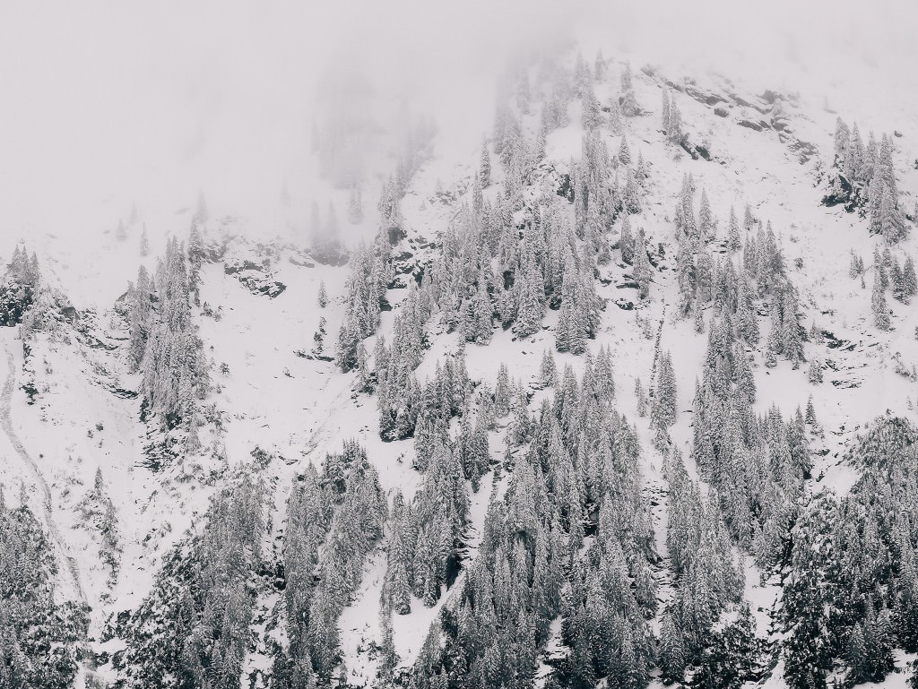 erster schnee rauristal - Fotos aus meinem Alltag