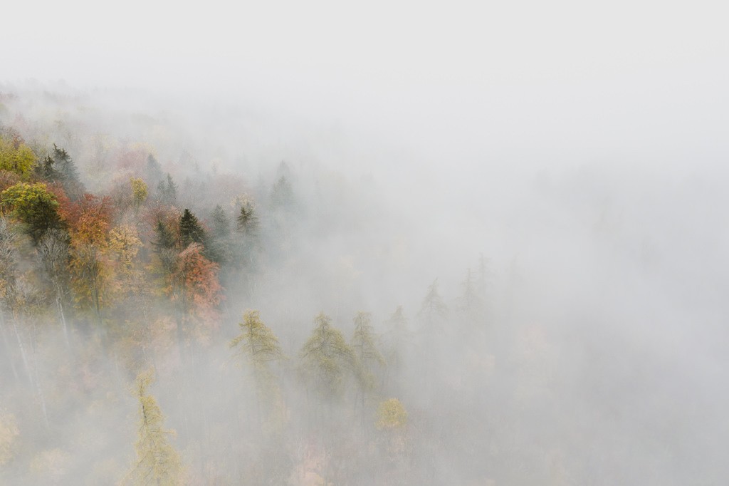 luftaufnahme bodensee gehrenberg herbst 0002 - Herbstfarben Gehrenberg