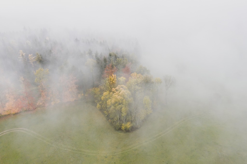 luftaufnahme bodensee gehrenberg herbst 0008 - Herbstfarben Gehrenberg