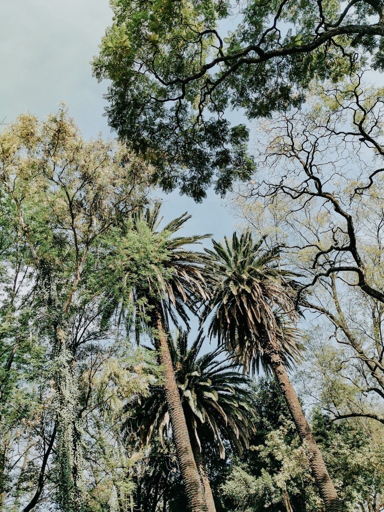Parque espana mexico city - Fotos aus meinem Alltag