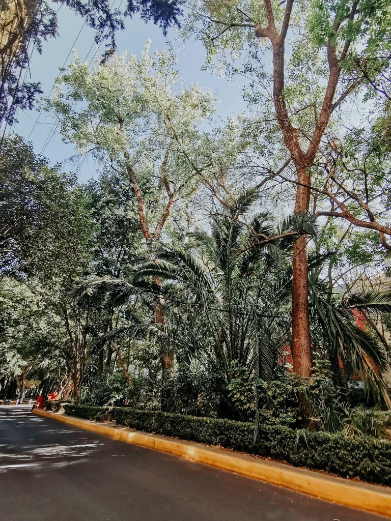 condesa mexico city - Fotos aus meinem Alltag