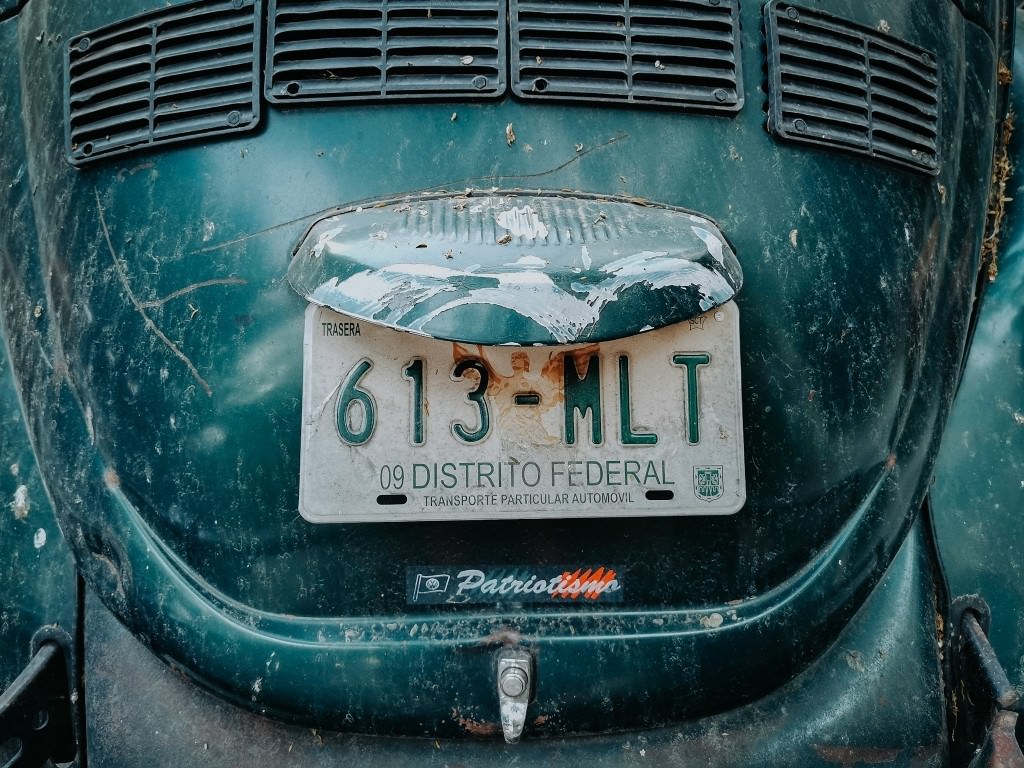 kaefer nummernschild 1 - Fotos aus meinem Alltag