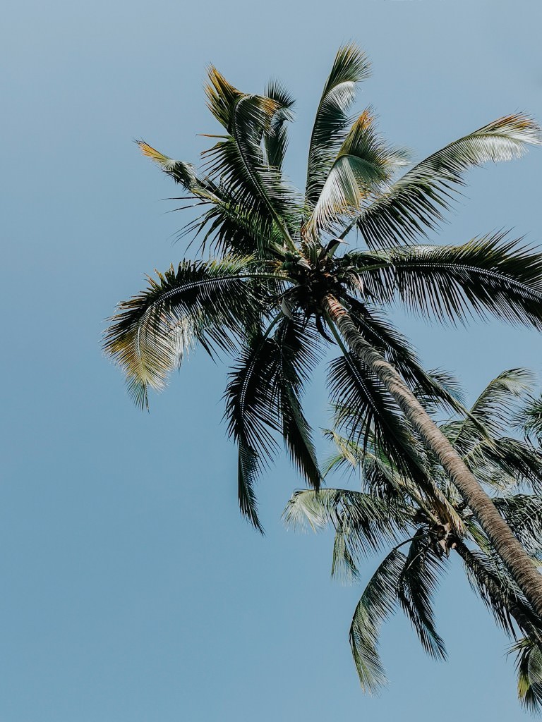palmbeach acapulco 1 - Fotos aus meinem Alltag