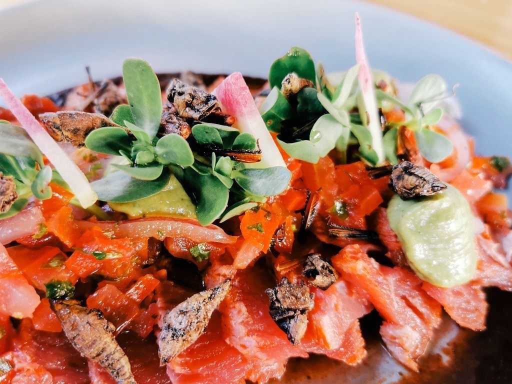 streetfood mexiko tuna - Fotos aus meinem Alltag