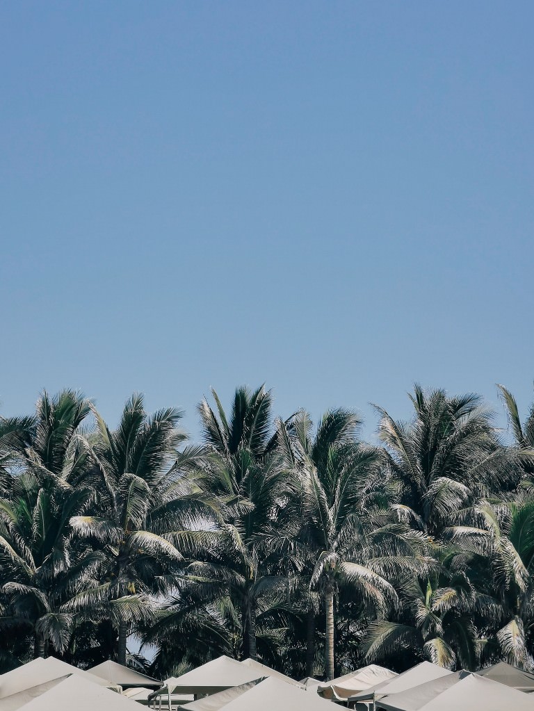 acapulco beach mexico - Fotos aus meinem Alltag