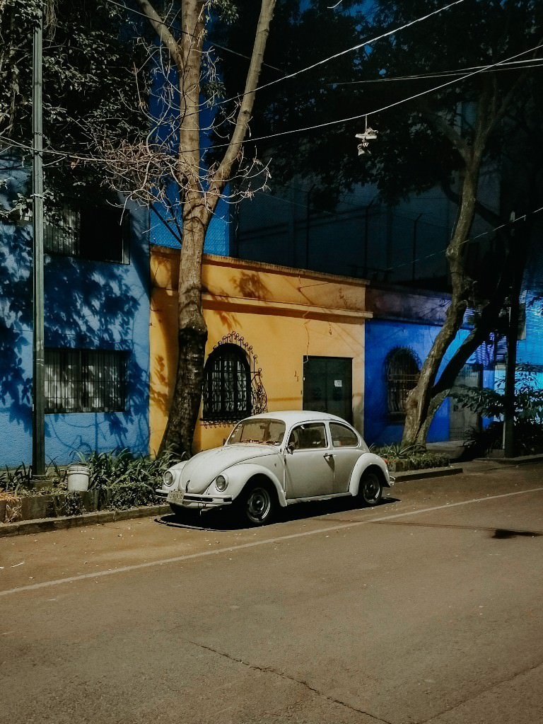 alter kaefer condesa - Fotos aus meinem Alltag