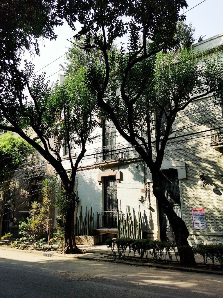 roma norde mexicocity - Fotos aus meinem Alltag