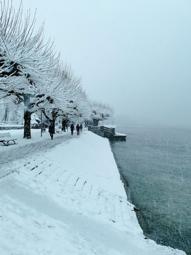 schnee bodensee konstanz - Fotos aus meinem Alltag