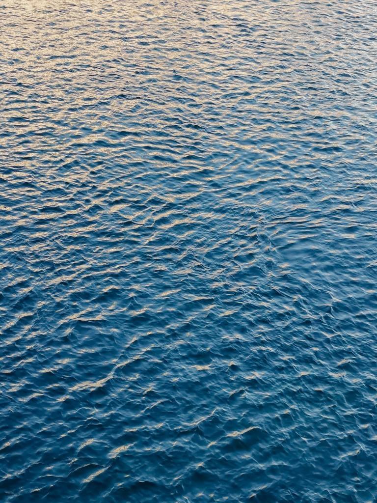 bodensee spiegelungen - Fotos aus meinem Alltag