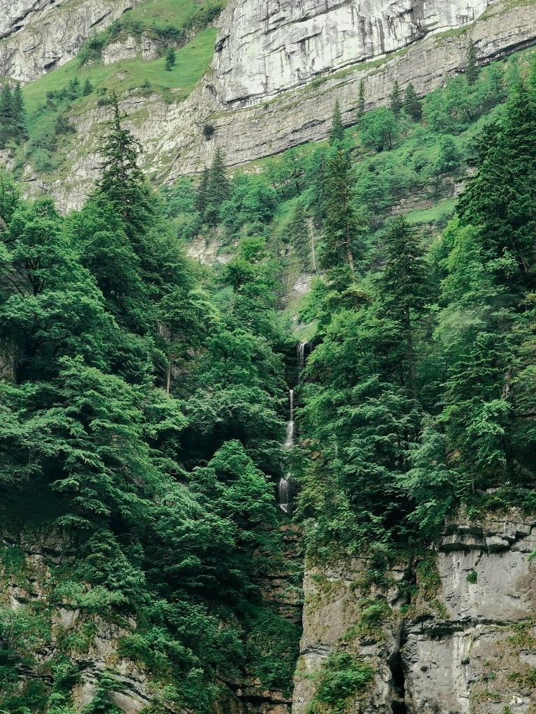 Appenzeller Wasserfall - Fotos aus meinem Alltag