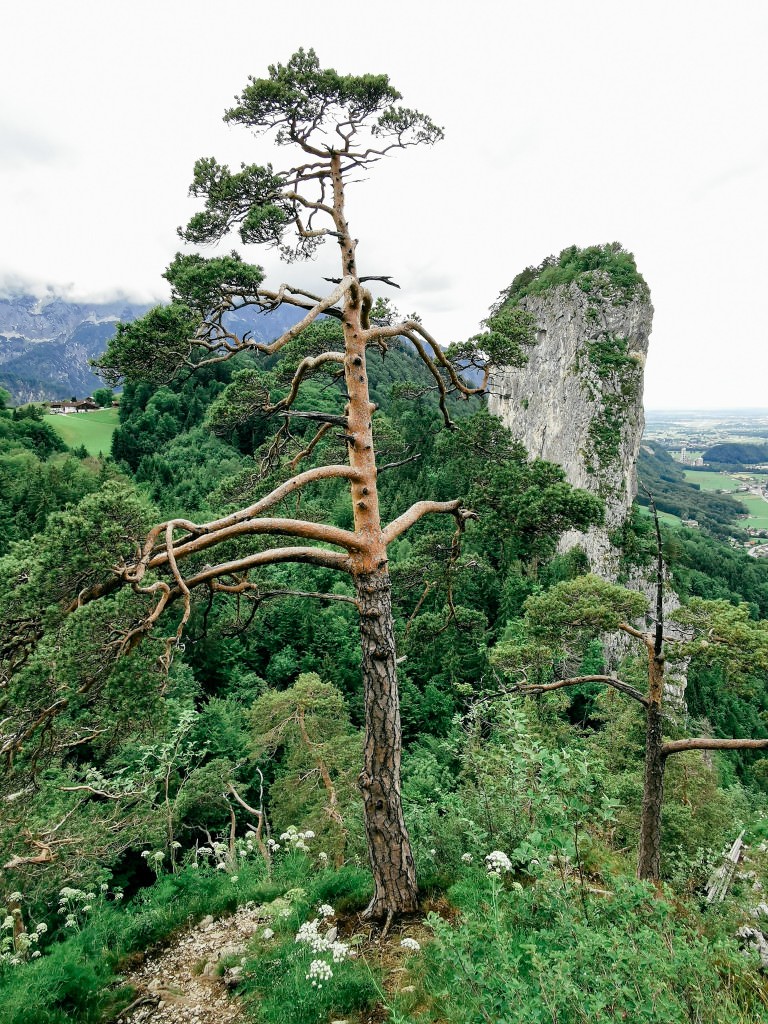Berchtesgadener land - Fotos aus meinem Alltag