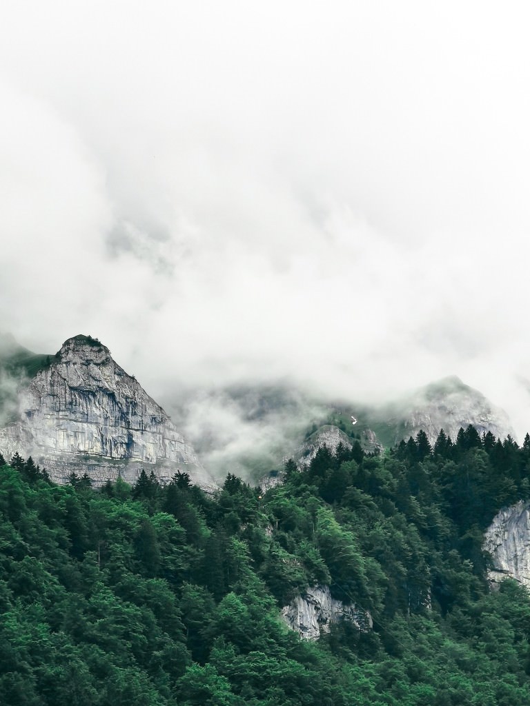 appenzeller land - Fotos aus meinem Alltag