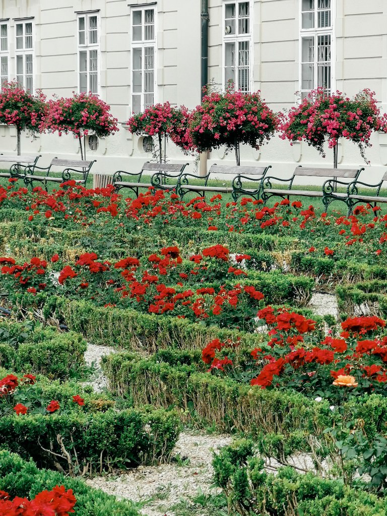 schlosspark salzburg 1 - Fotos aus meinem Alltag