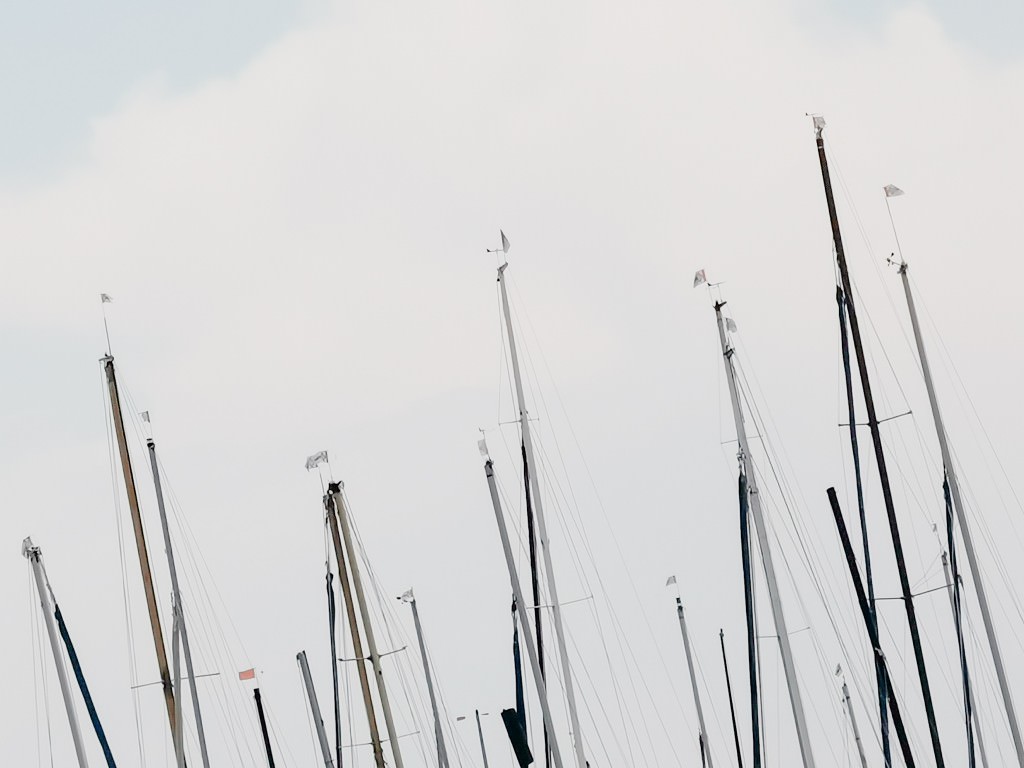 sommerboote bodensee - Fotos aus meinem Alltag