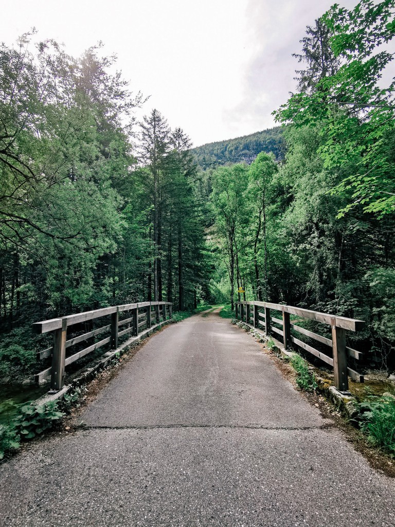 waldwanderung - Fotos aus meinem Alltag