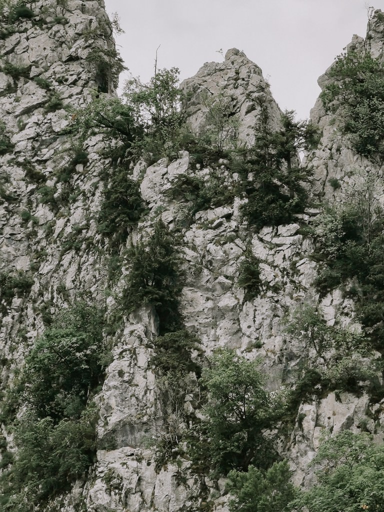 wandern salzburger land - Fotos aus meinem Alltag