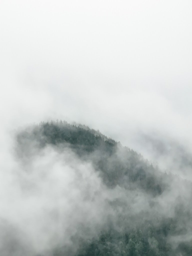 wolkenwald dolomiten - Fotos aus meinem Alltag