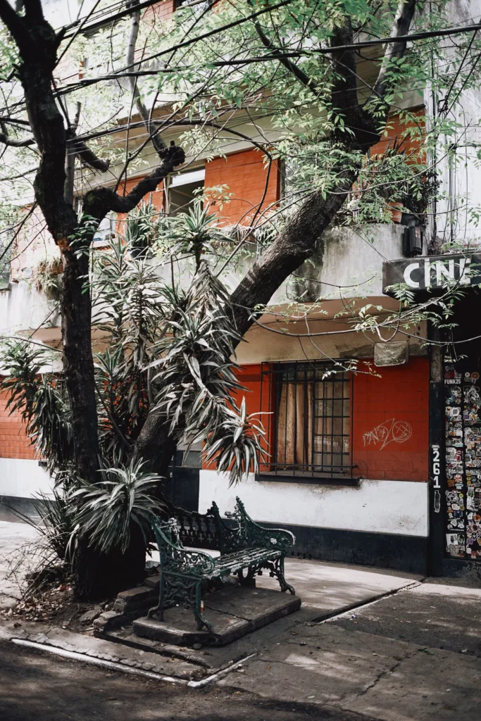 035 storyboard 683x1024 - Mexico City - eine fotografische Zeitreise auf Rädern