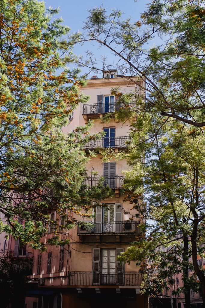 Árbol con flores naranjas ante una casa alta con balcones en Córcega