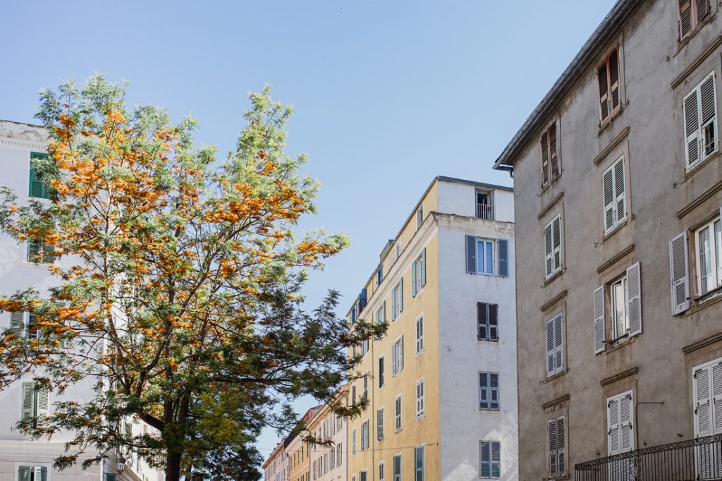 Árbol con flores naranjas entre casas altas con contraventanas en Córcega